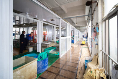 Electroplating Workshop